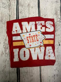 Distressed Ames Iowa Tee