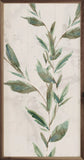 Botanical Panel 2 One Vine By Nina 20x40