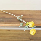 27 YELLOW CHRYSANTHEMUM
