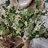 Daisy And Eucalyptus Pick