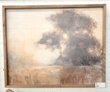 First Light Trees By Juila 20x16