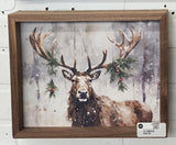 Snowy Reindeer In Forest