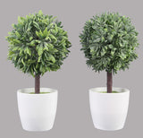 Artificial Topiary In White Planter