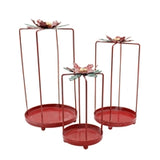 Red Poinsettia Lanterns