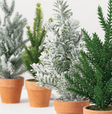 Mini Tabletop Potted Trees