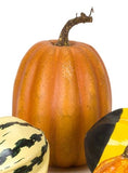 Pumpkin/Gourd