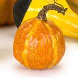 Pumpkin/Gourd