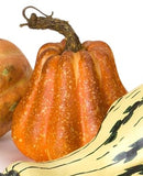 Pumpkin/Gourd