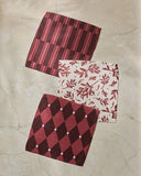 Winter Medley Dishcloth