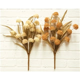 Autumn Bur
