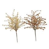 Hairy Pinweed Picks