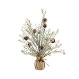 Japanese Cedar 16 Inch Tree
