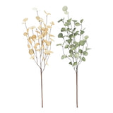 Green And Yellow Eucalyptus Picks