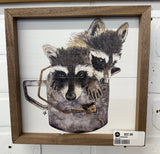 Racoons