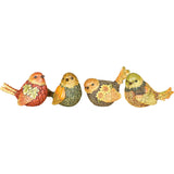 Md Res Natural Fall Bird Fig