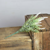 12.5 Lavender Bush White