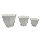 Ceramic Fluted Shell Pedestal Planter Wi