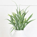 12 Stem Seagrass Bush