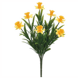 Narcisscus Bush Yellow