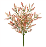 Astilbe Bush