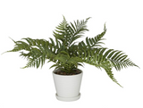 Plastic Artificial Fern Foliage