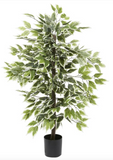 Artificial Ficus Tree In Pot - LOCAL PICKUP ONLY!!