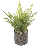 Ceramic Plastic Artificial Planter