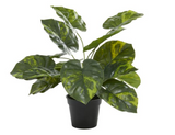 Artificial Leaves in a Pot