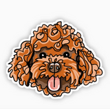 Goldendoodle Dog Sticker