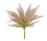 Fern Bundle