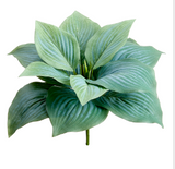 Hosta Leaf Bush