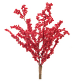 Berry Spray 17H Foam