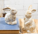 White Bunnies