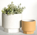 White And Mustard Planters