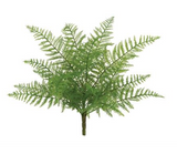 Lace Fern Bush X18, 16", Light Green