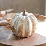 5h Beige Heirloom Pumpkin