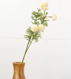 Sm Ivory Chrysanthemum Stem