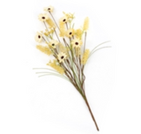 Tan Daisy Pick