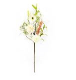 Carnation And Persian Buttercup Pick