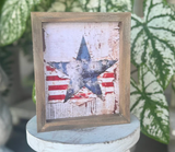 Salute The Flag Frame