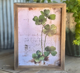 Wild Clover Frame