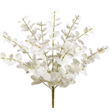 19.5eucalyptus Leaf Bush X13