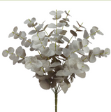 19.5eucalyptus Leaf Bush X13