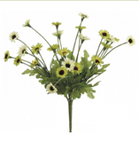 10.5daisy Bush X5 Gr/tt