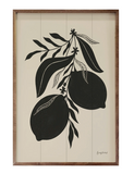 Lemon Sillhouette 2 16x10