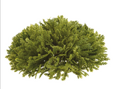 7spike Moss Half Ball Gr