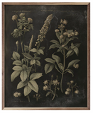 Vintage Neutral Floral Print Bl 24x30