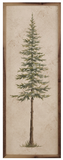 Vintage Pine Tree 8x24