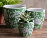 Gr/bl Floral Pots