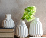 Matte White Ceramic Vase